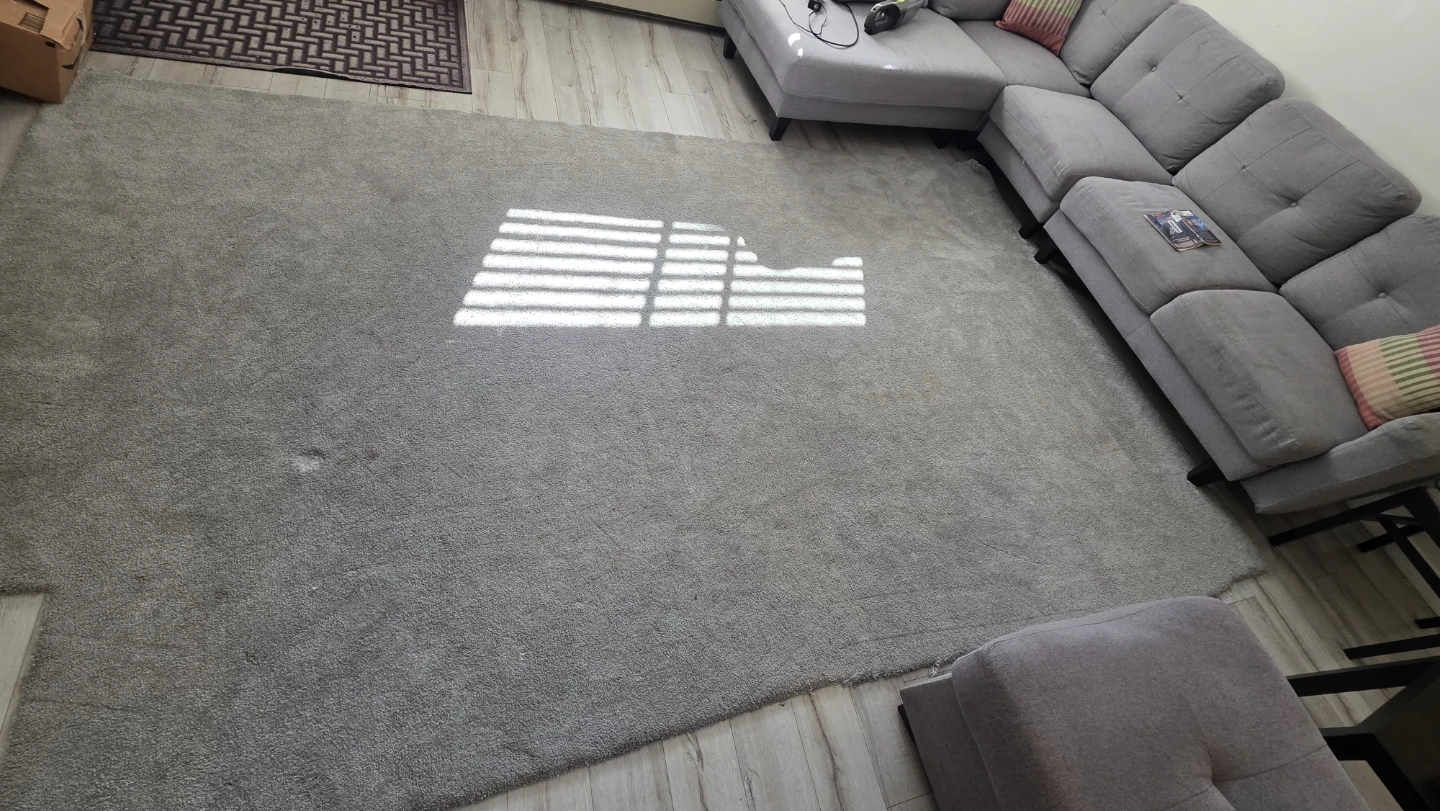 Large Grey Area Rug - photo 3