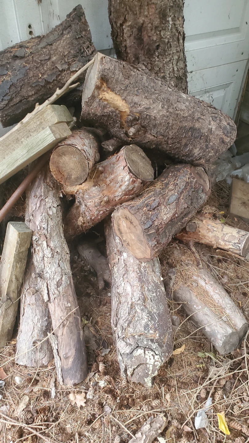 Seasoned Firewood Logs