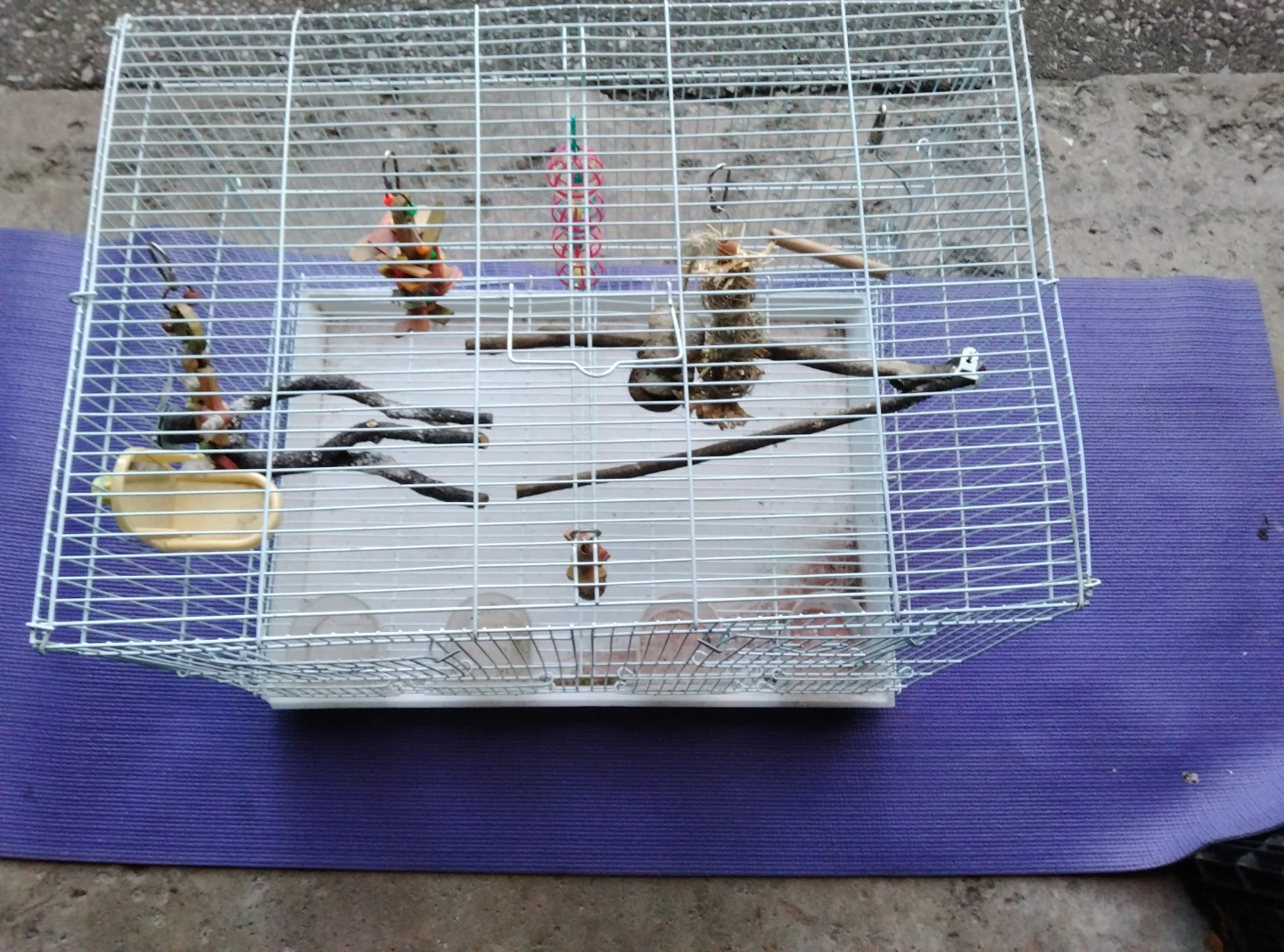 Small Bird Cage - photo 2