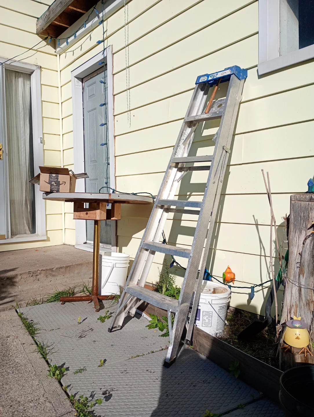 Reliable Ladder On SALE