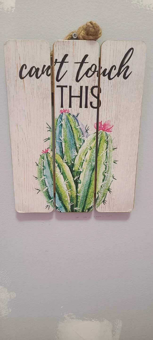 Cactus wall hanging sign