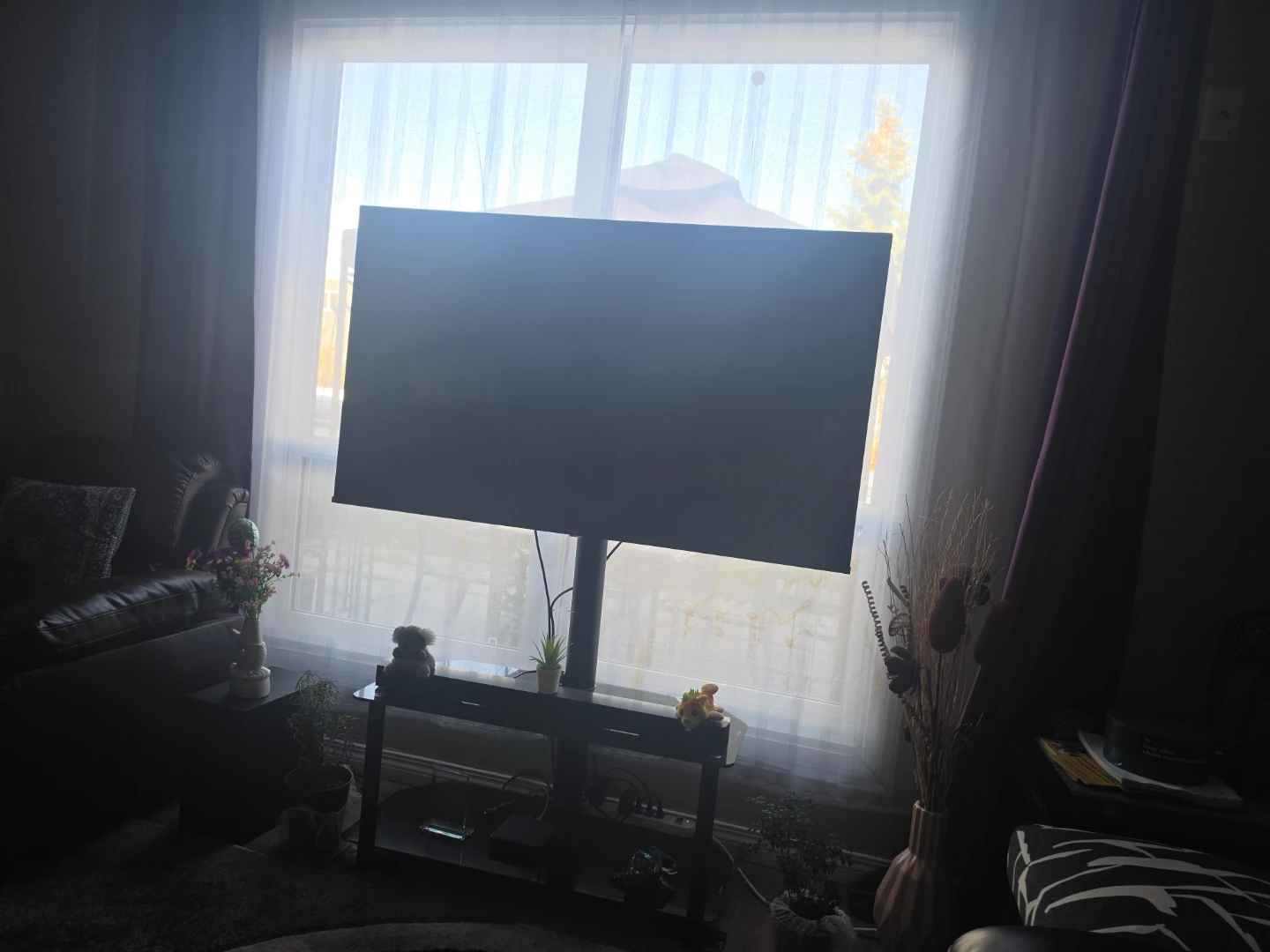 Television with adjustable floor stand