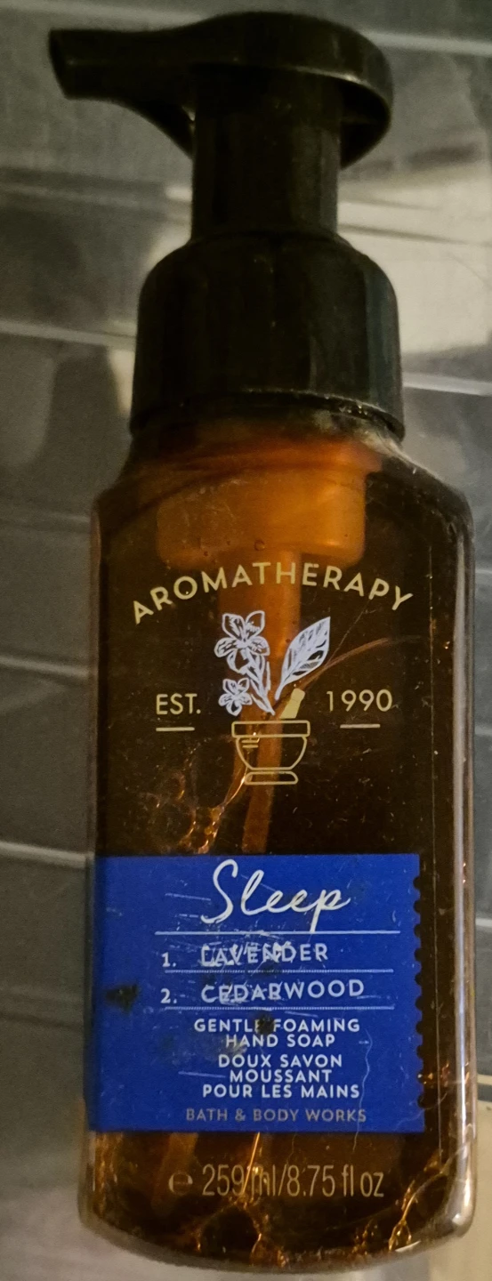 Bath & Body Works Aromatherapy Sleep Hand Soap