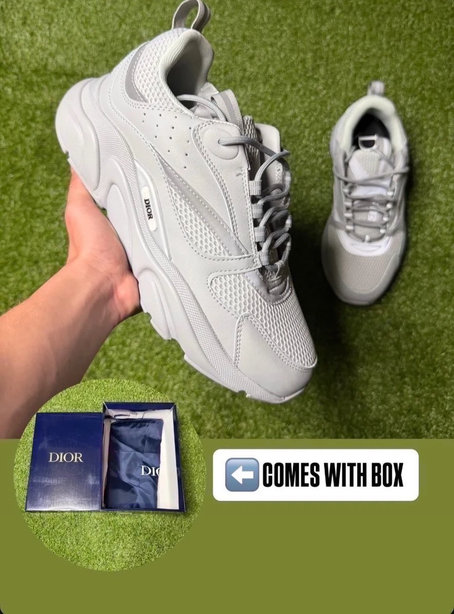 Dior B22 Sneakers Gray