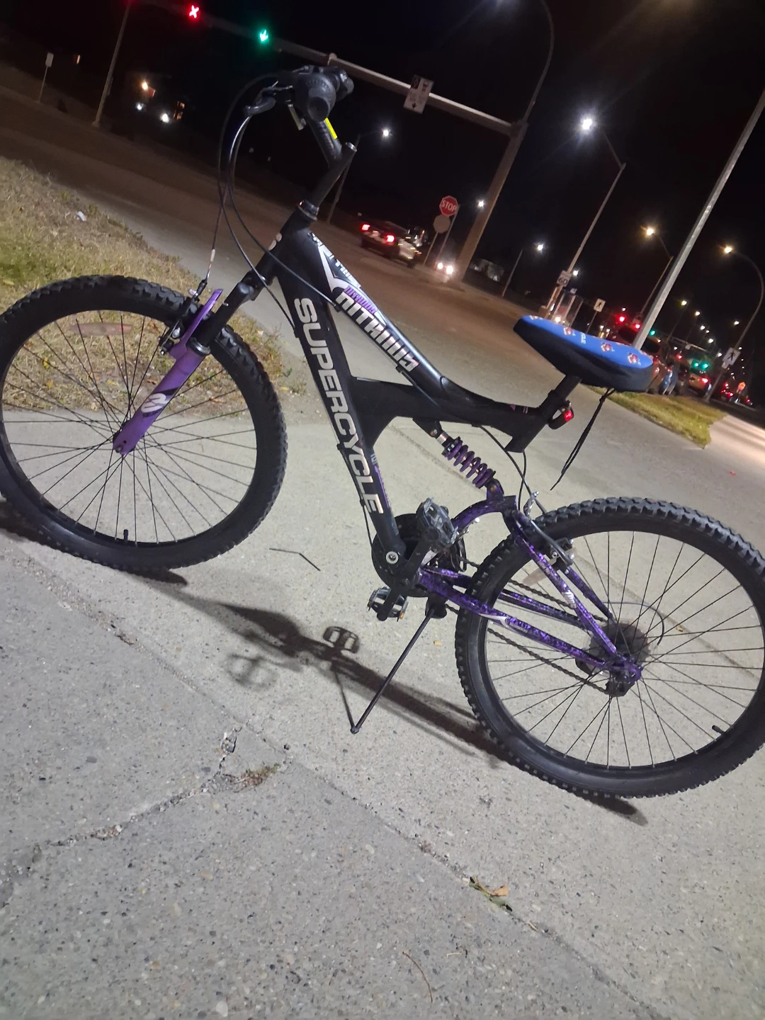 Mountain Bike