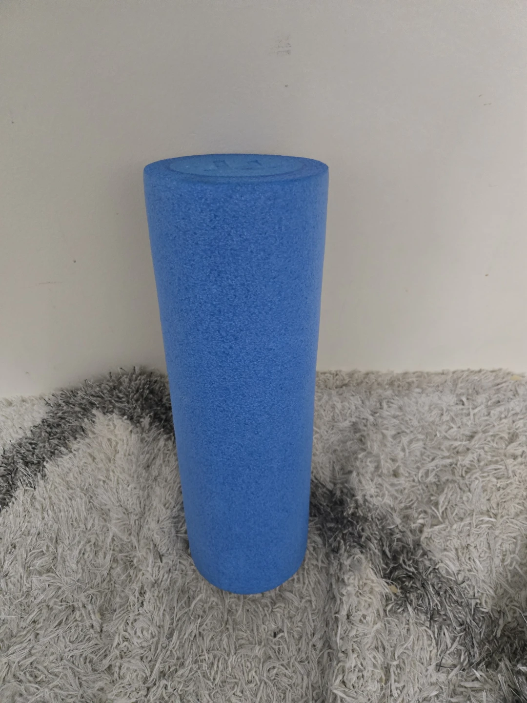 Blue Foam Roller