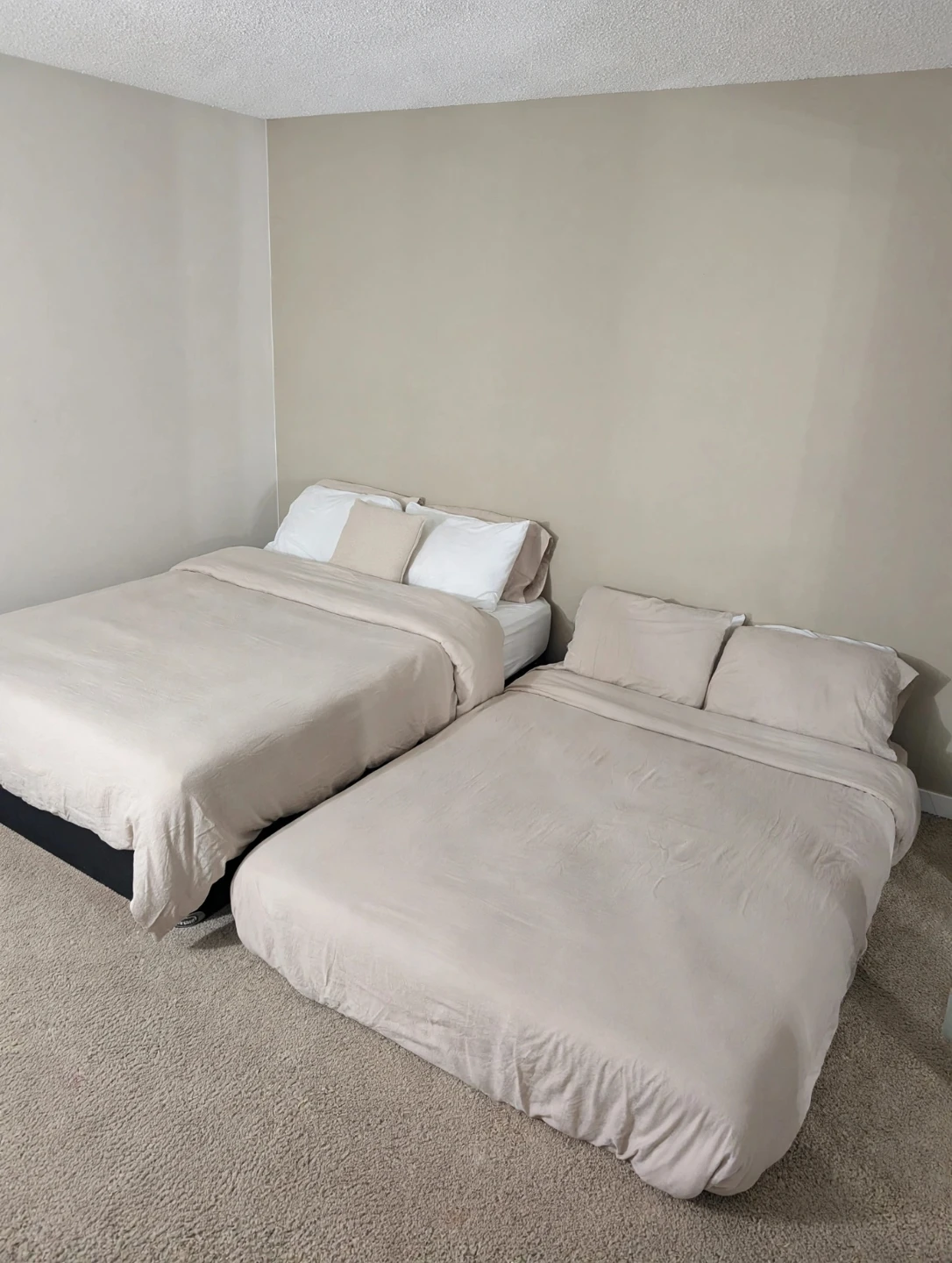 1 bhk Condominium - photo 4