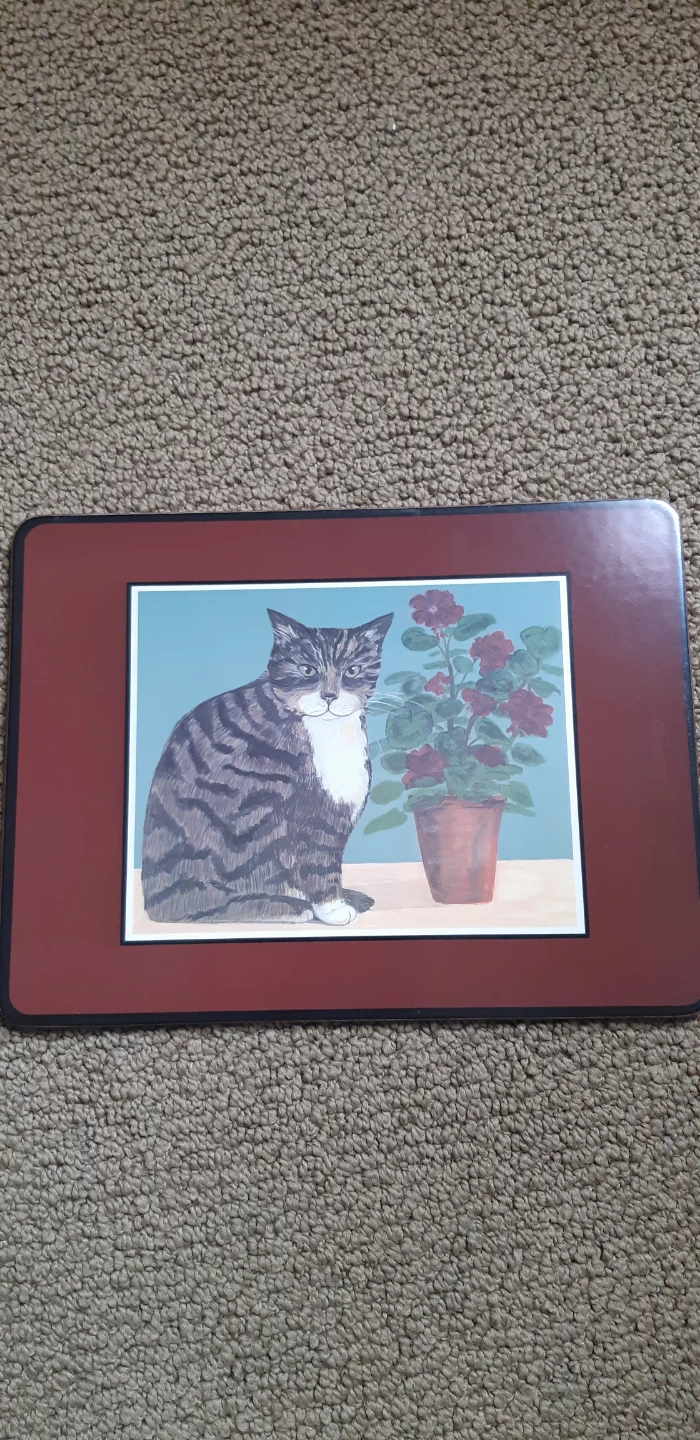 Set of 4 Cat Design Placemats - photo 4