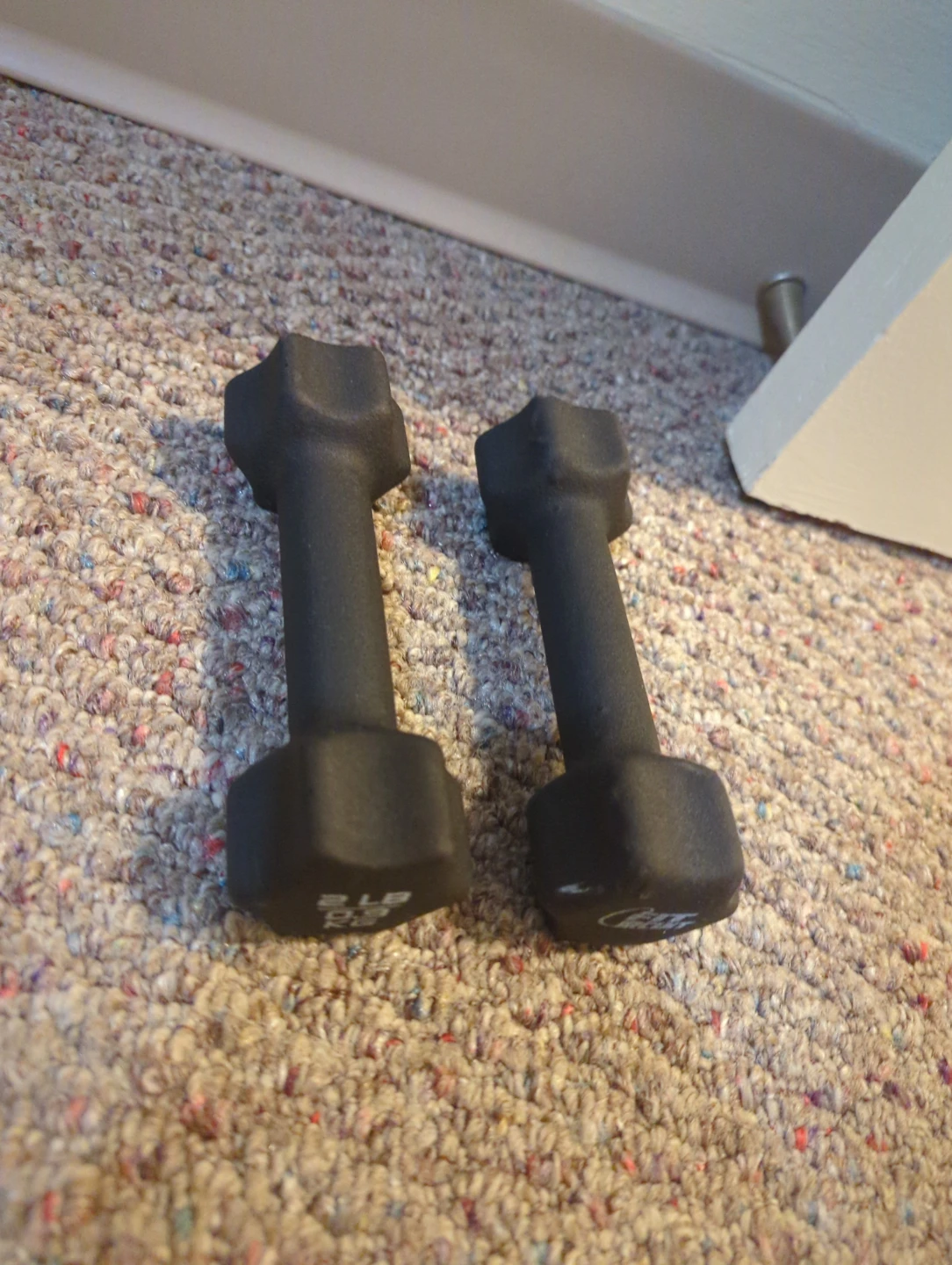 Fit Circuit 2 lb Dumbbell Pair - photo 2