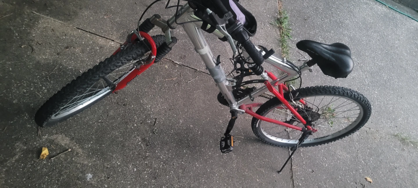 Element Mountain Bike