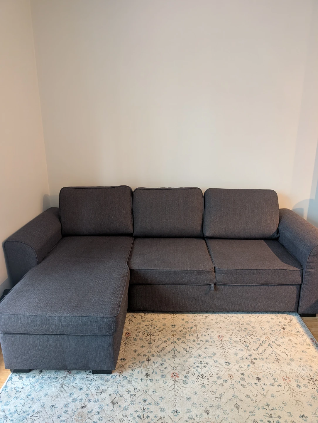 Structube Berto Sofabed & Couch