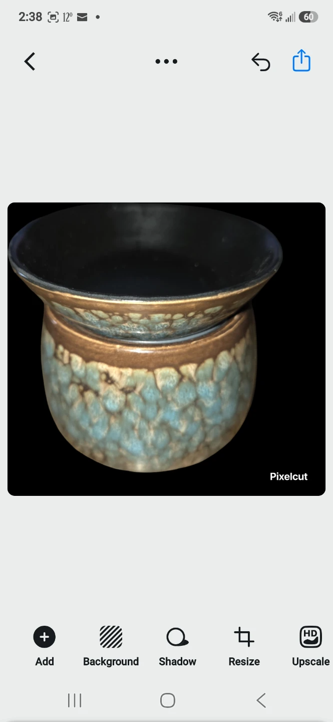 Scentsy Electric Wax Warmer