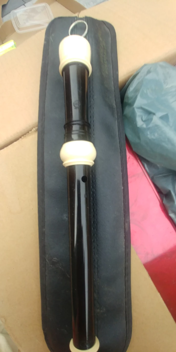Dolmetsch nova plastic recorder - photo 3