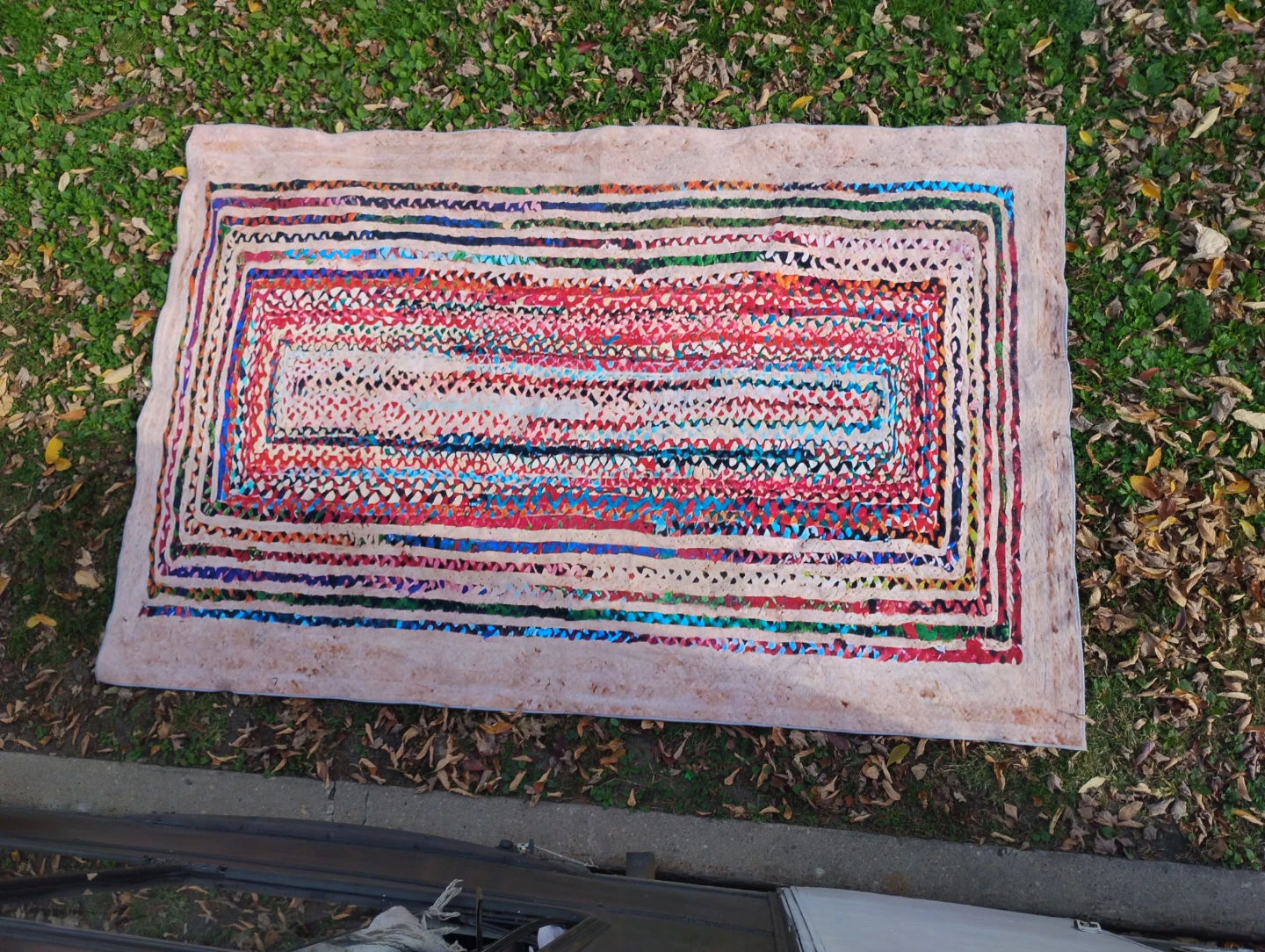 Braided Multi-Color Accent Rug (8 x 10) - photo 2