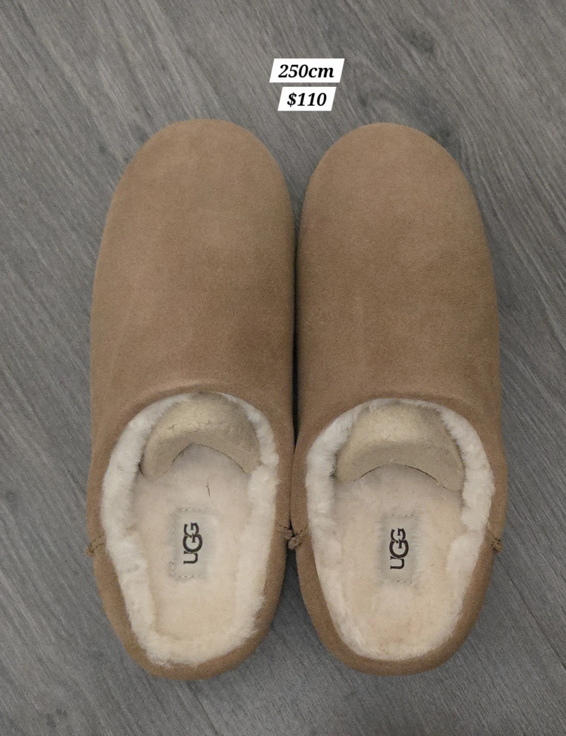 Unworn UGG Elea Slip-On