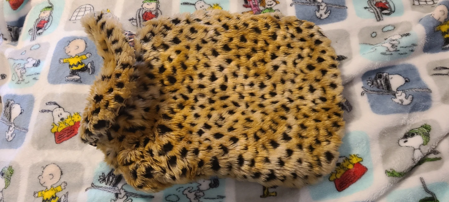 Dog clothes and accessories bundle - photo 3