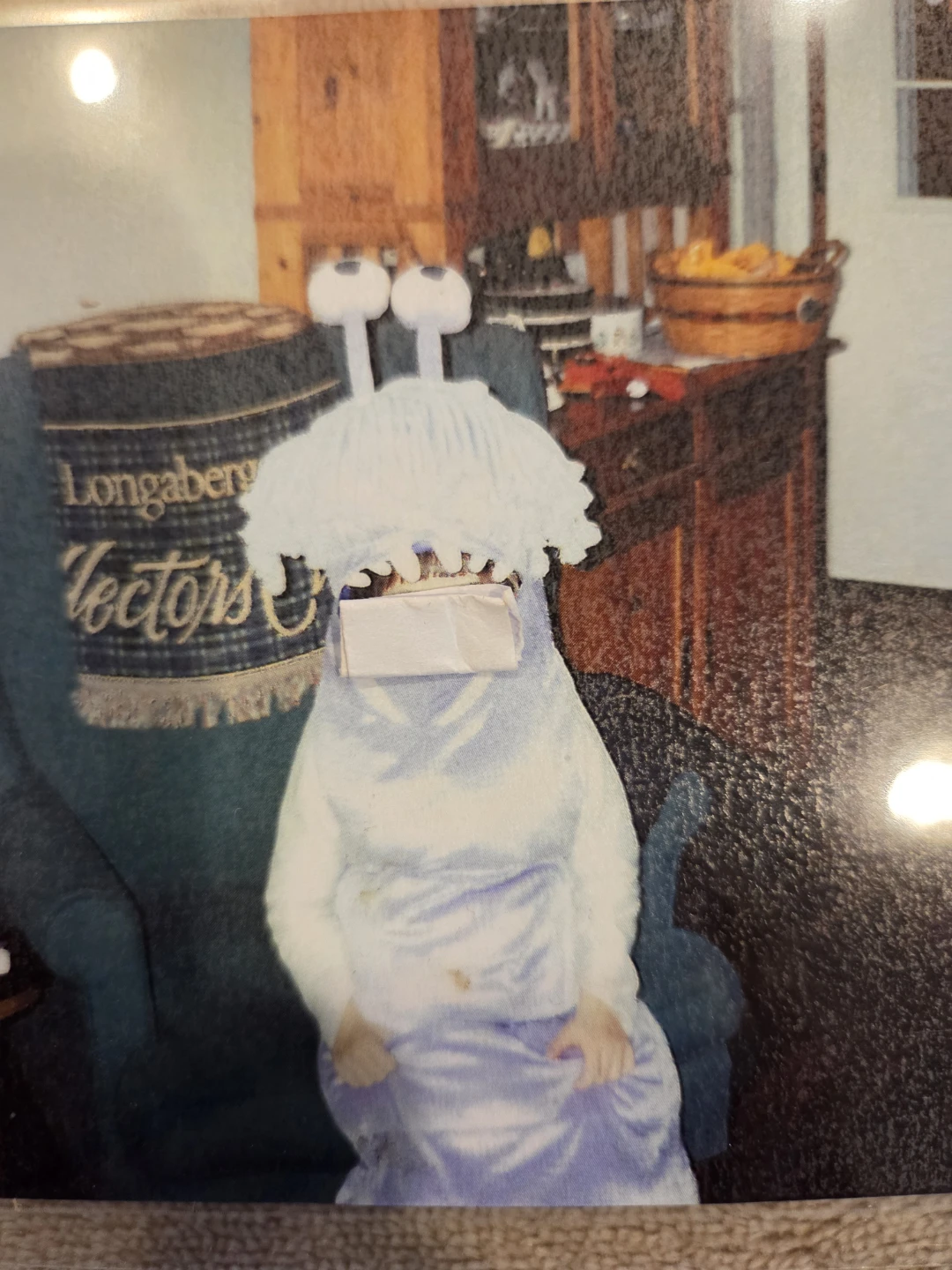 Disney Monsters Inc. Roz Halloween Costume - photo 3