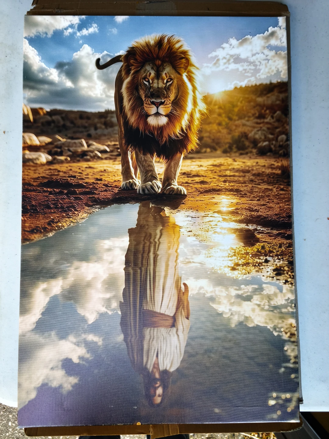 Lion and Jesus Reflection Canvas Wall Art