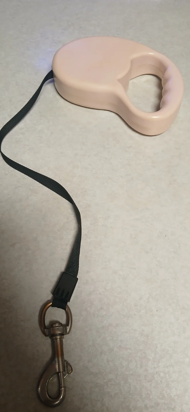 Retractable dog leash - photo 2