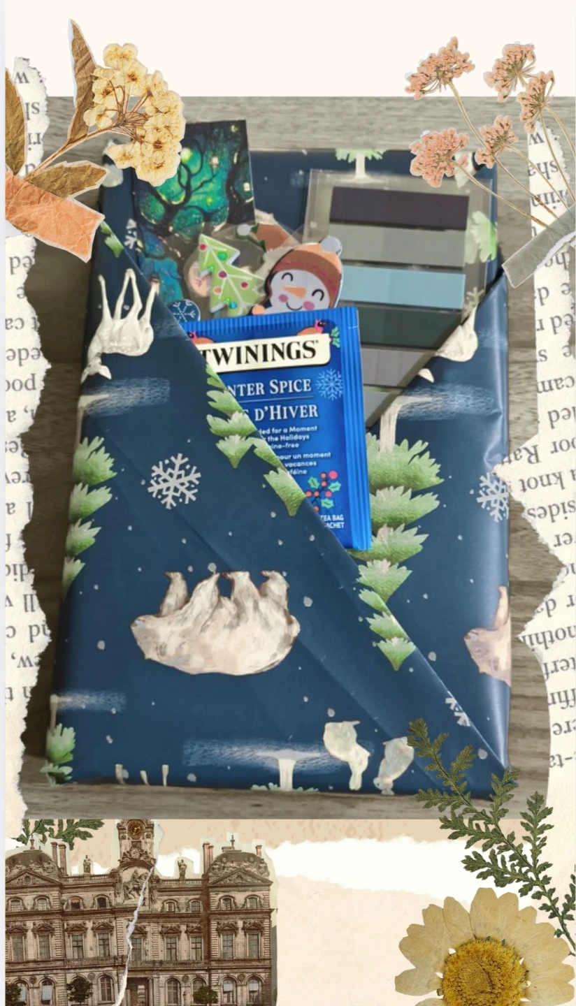 Wrapped Blind Date with a Book Gift Set - photo 2
