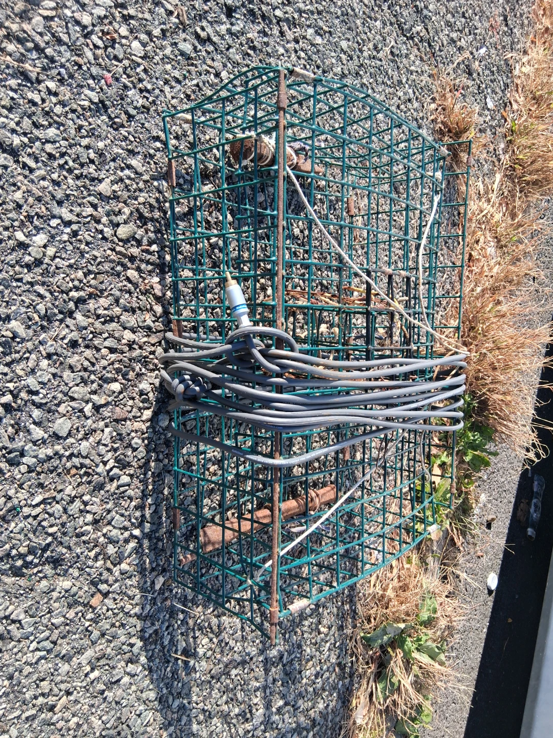 Metal Wire Crab Pot Trap - photo 2