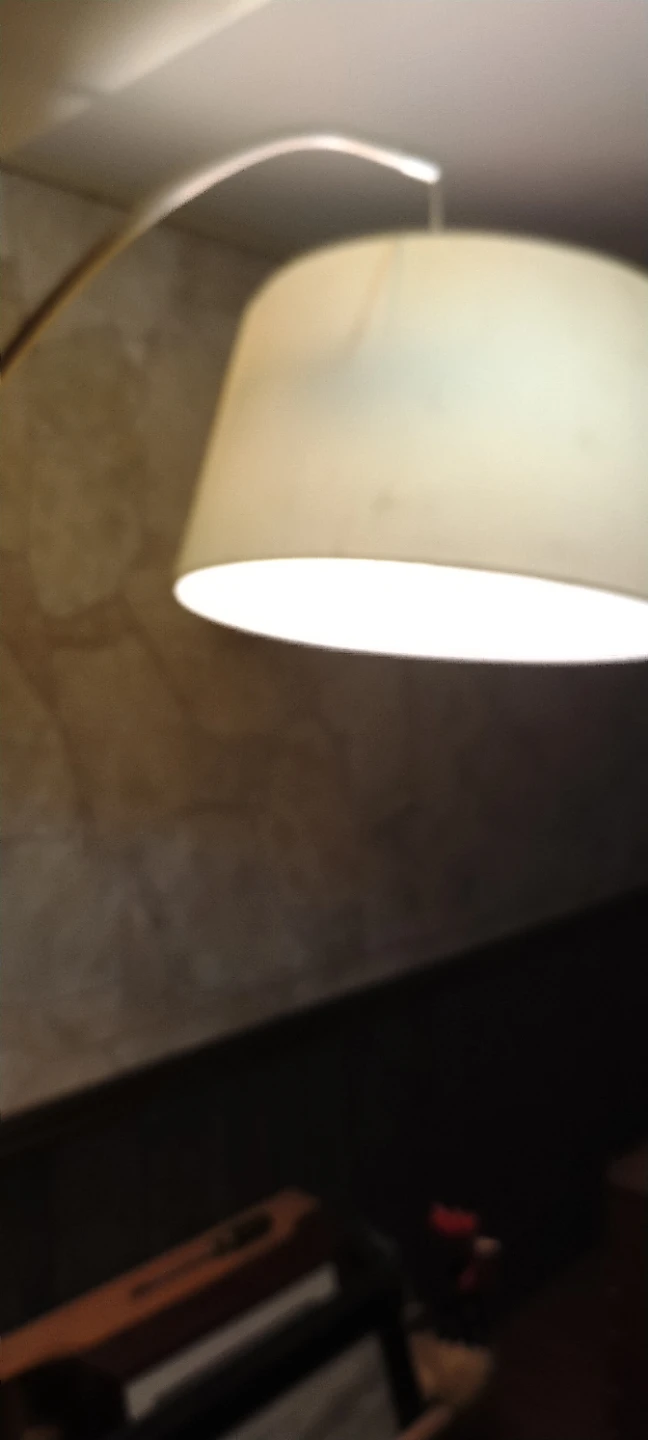 Adjustable Metal Floor Lamp
