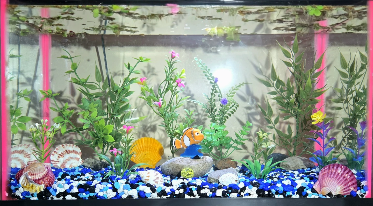 Aquarium with Filter