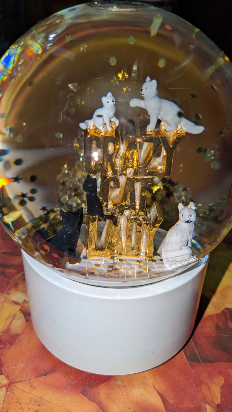 RARE VINTAGE "CRAZY CAT LADY" SNOW GLOBE MUSIC BOX - photo 4