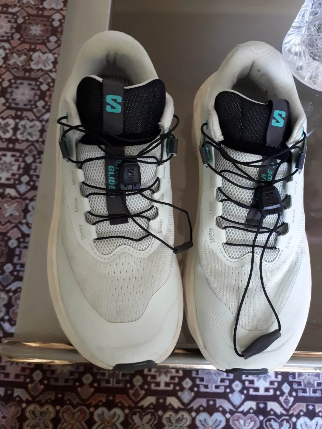 Salomon Glide Running Shoes