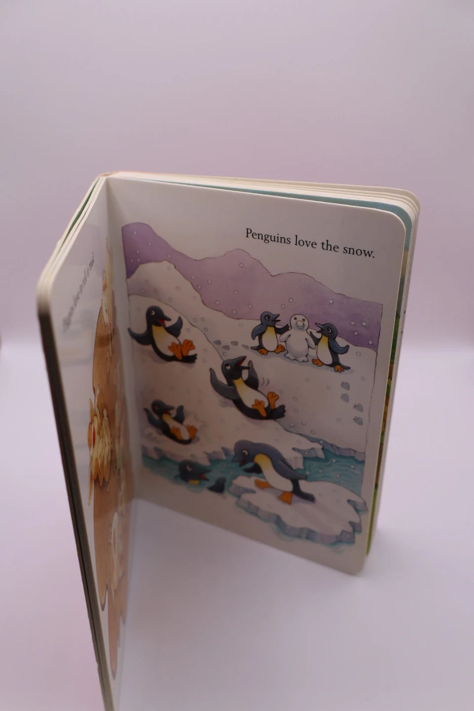 LeapFrog Tag Junior Cars Shapes All Around Book - photo 3