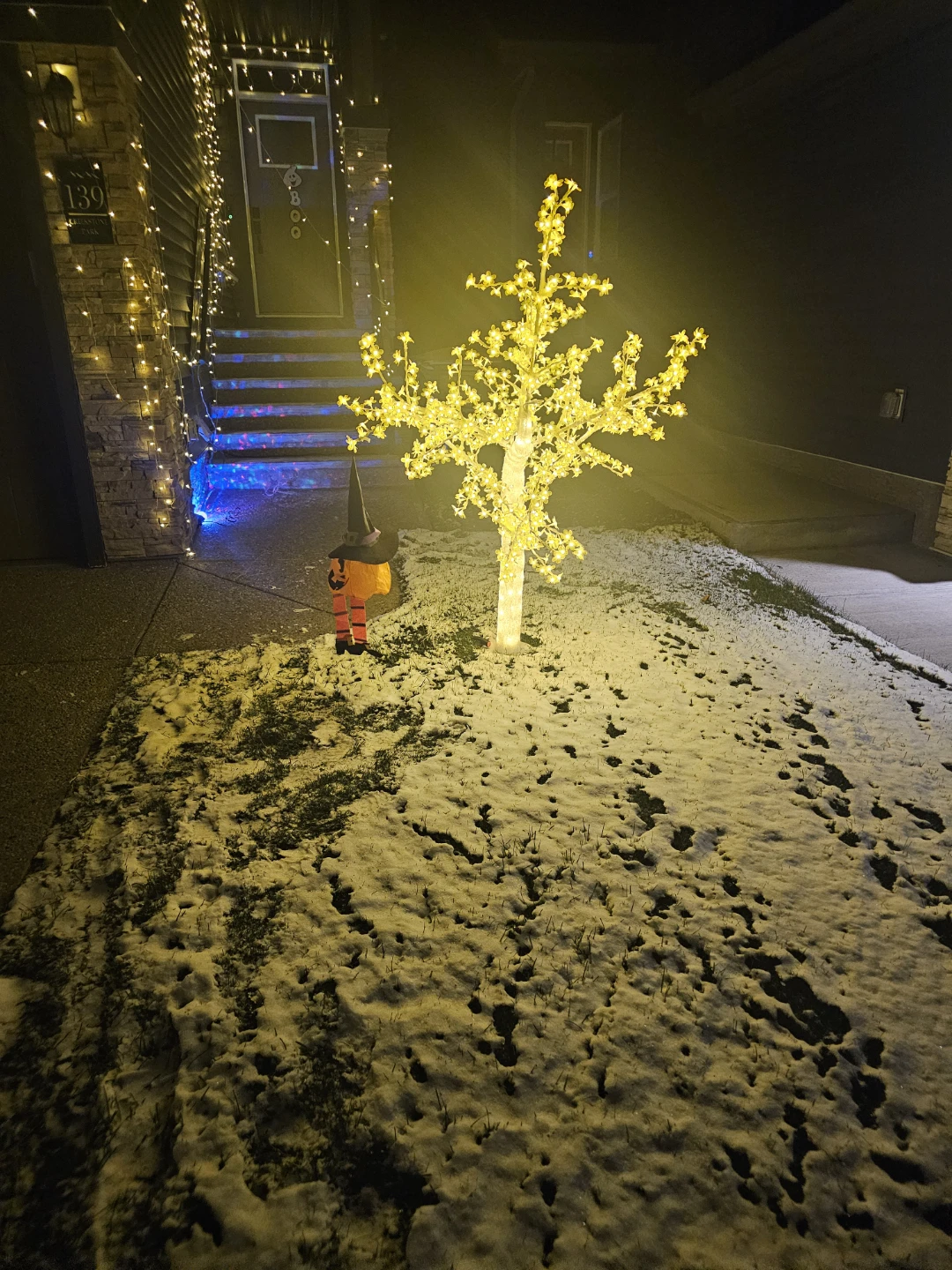 LED Blossom Tree Light - photo 4