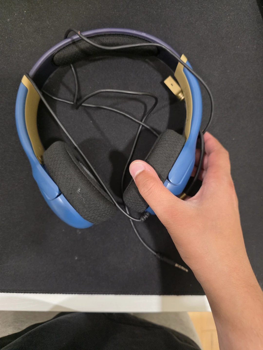 Nintendo Switch Gaming Headset