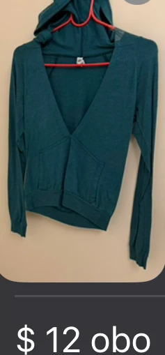 American Apparel Teal Hoodie