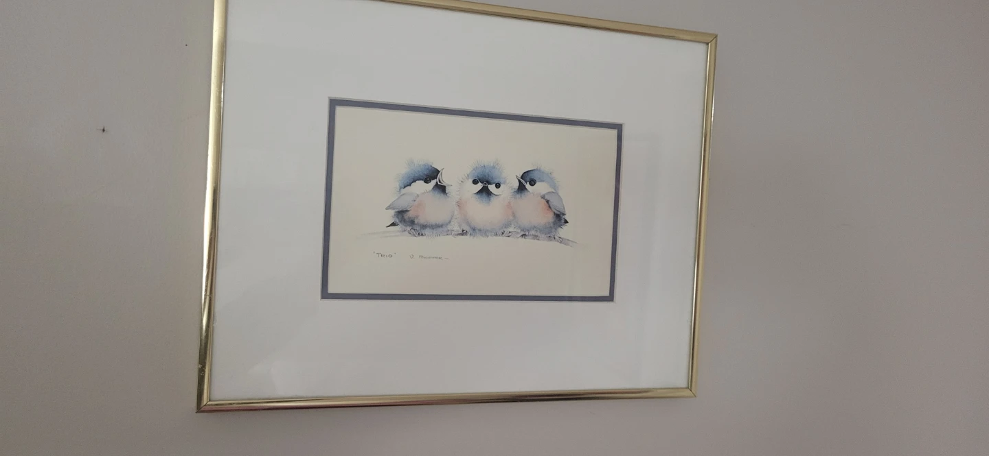 V. Pfeiffer Duo and Trio Bird Prints