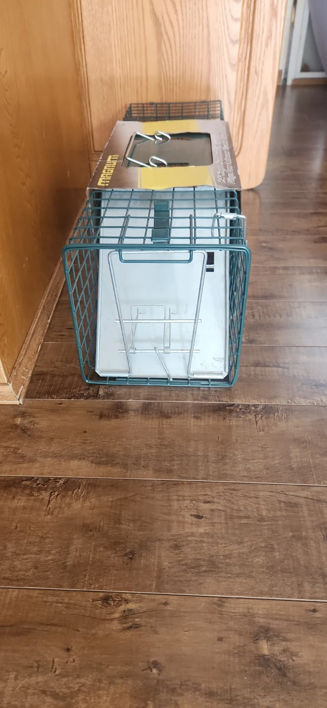 Magnum 24-inch Single Live Animal Trap - photo 2