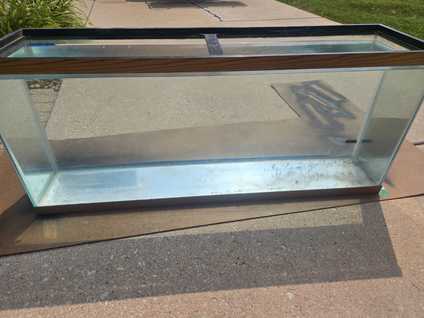 55-Gallon Glass Aquarium with Black Metal Stand - photo 5