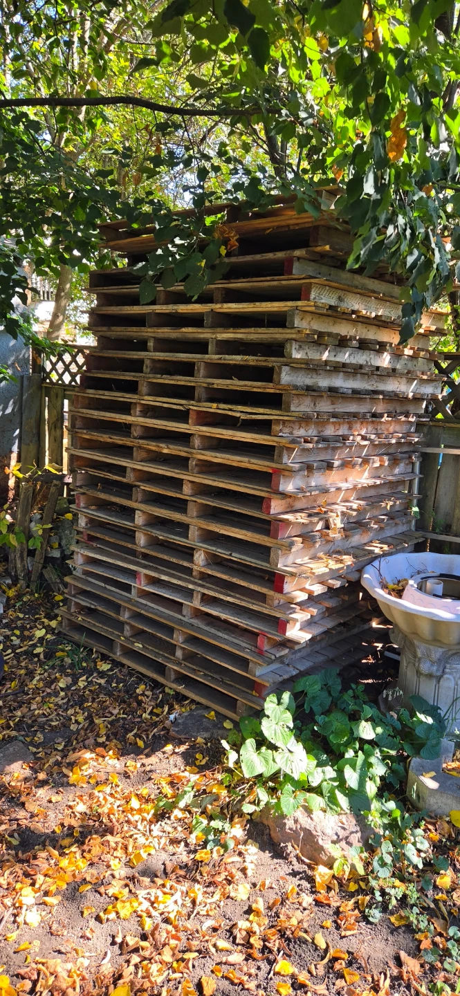 Stack of Wooden Shipping Pallets