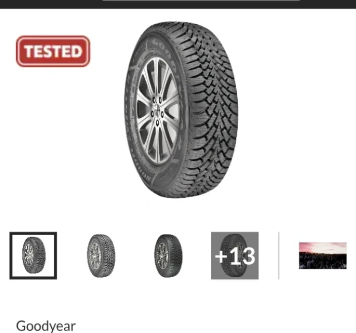 Goodyear Nordic Winter Tire