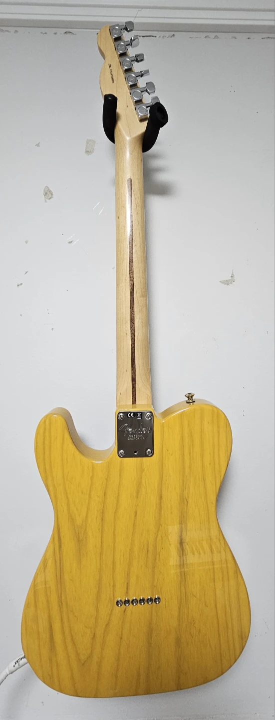 Fender American Pro Telecaster - photo 3
