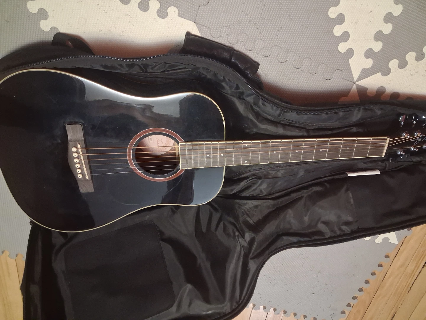 Jay Turser Acoustic Guitar with Case