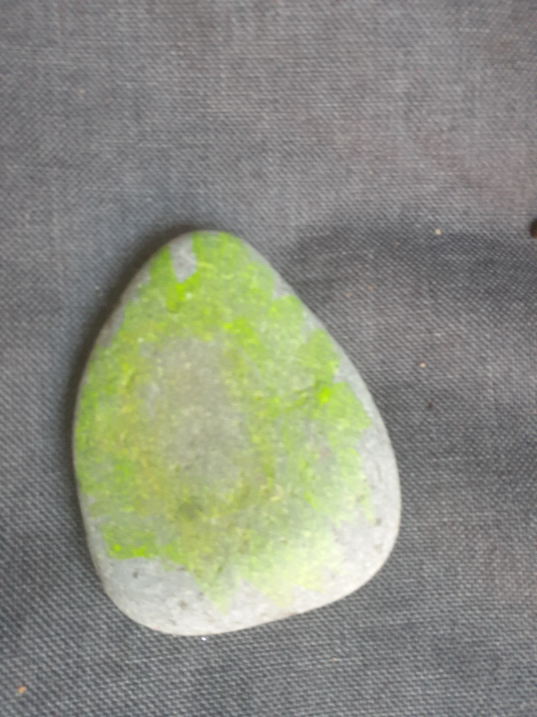 Set of 10 Hand Painted Stones - photo 5