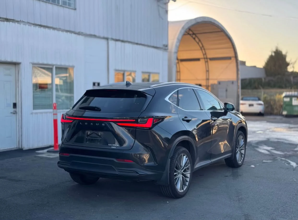 2024 Lexus NX - photo 5