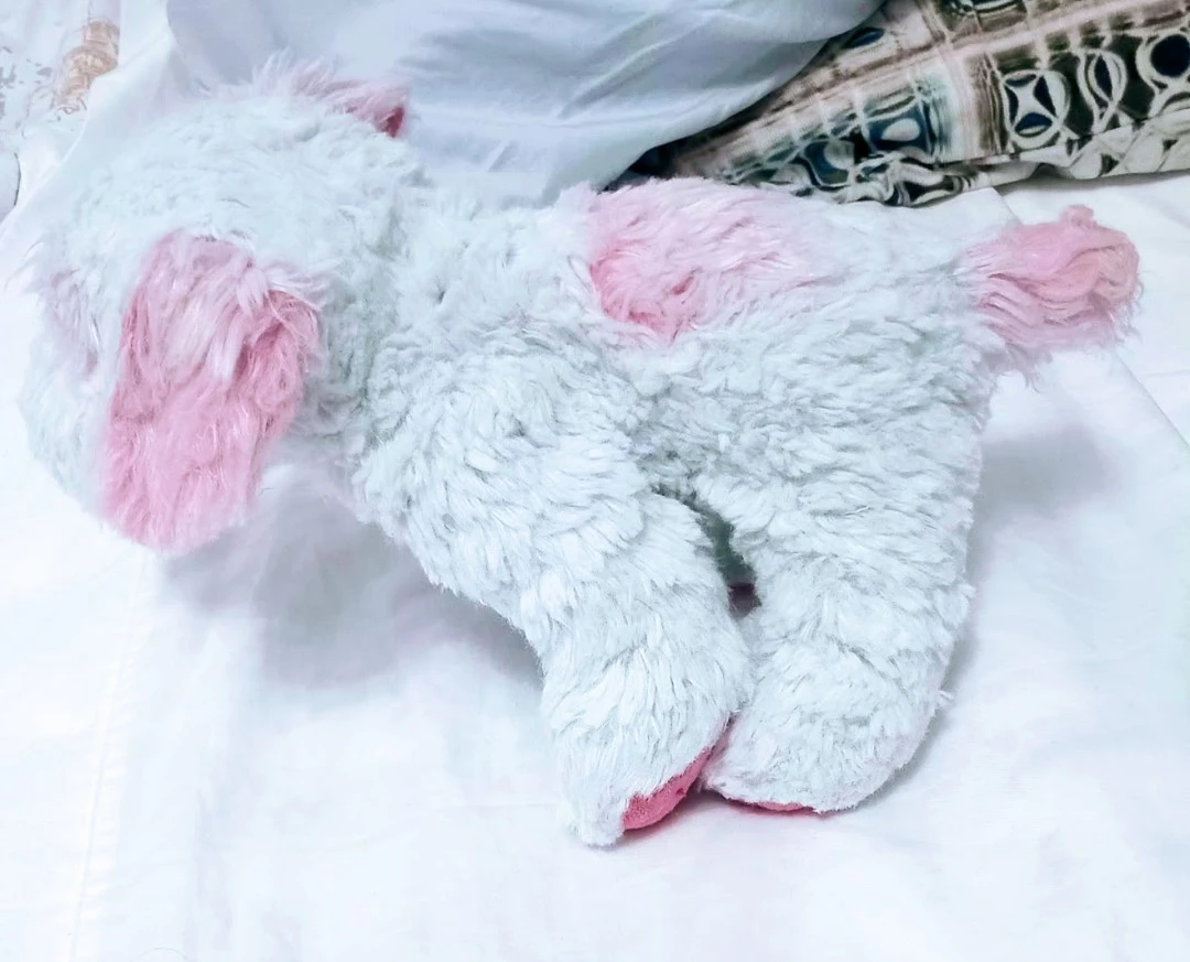 Rare HTF Webkinz Cream Soda Pup Ganz Retired. - photo 4