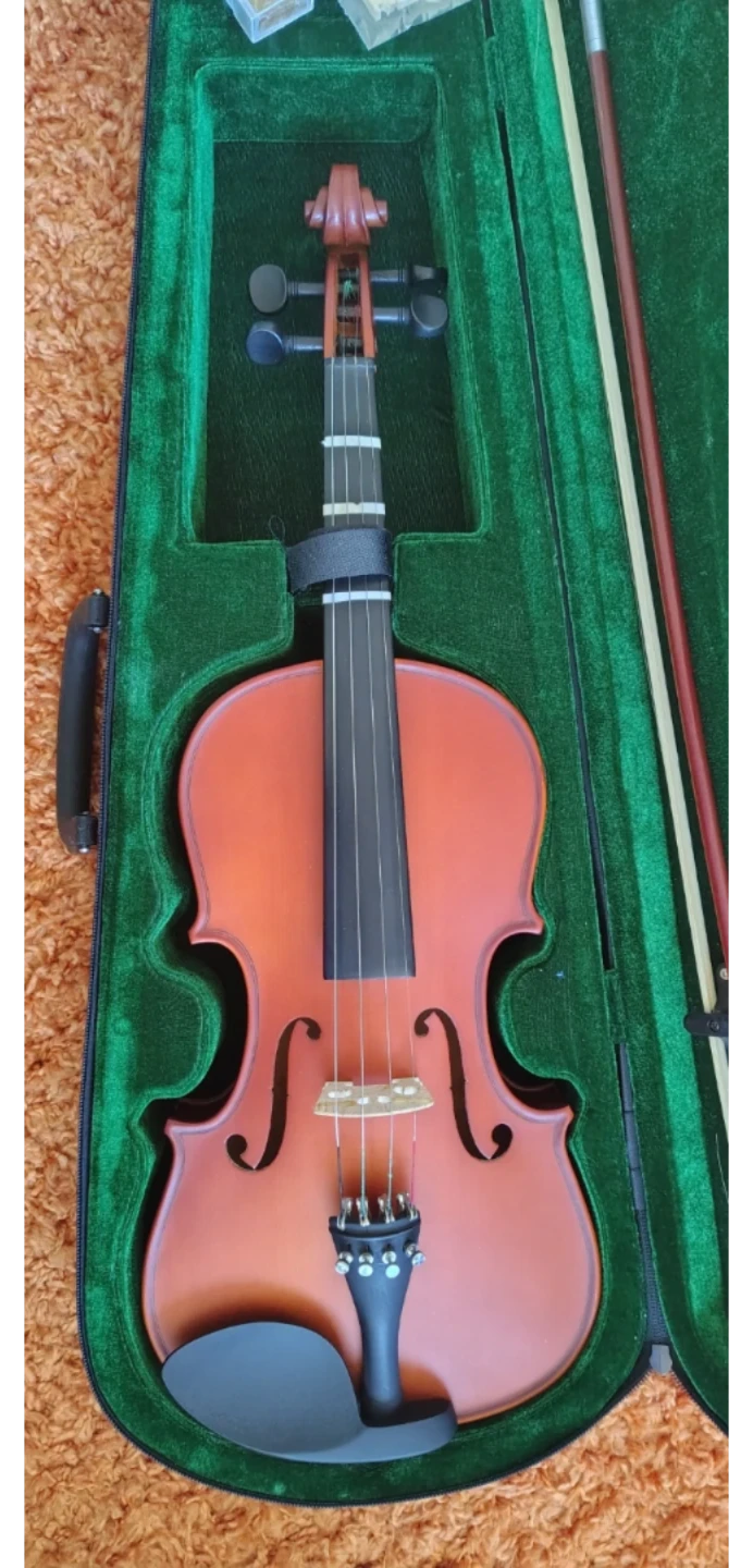 Violin with Case and Bow