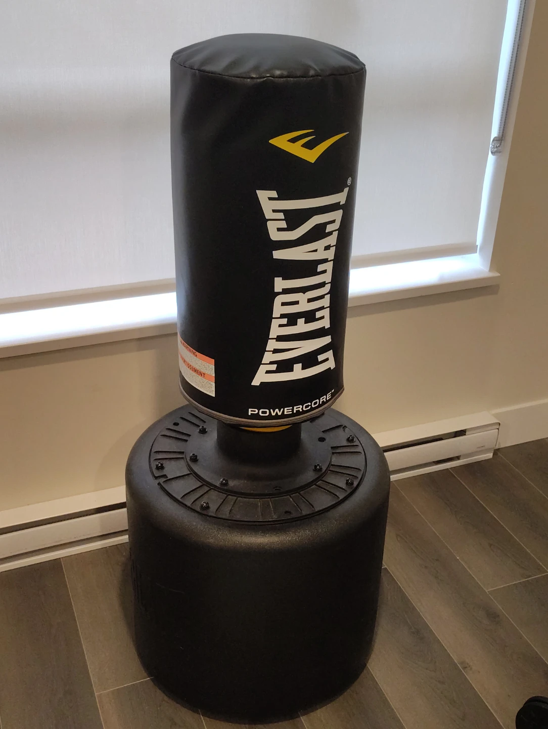 Punching bag Everlast