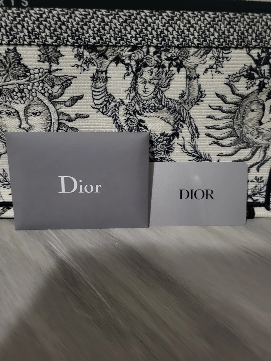 BNWT Large Christian Dior Book Tote - photo 4