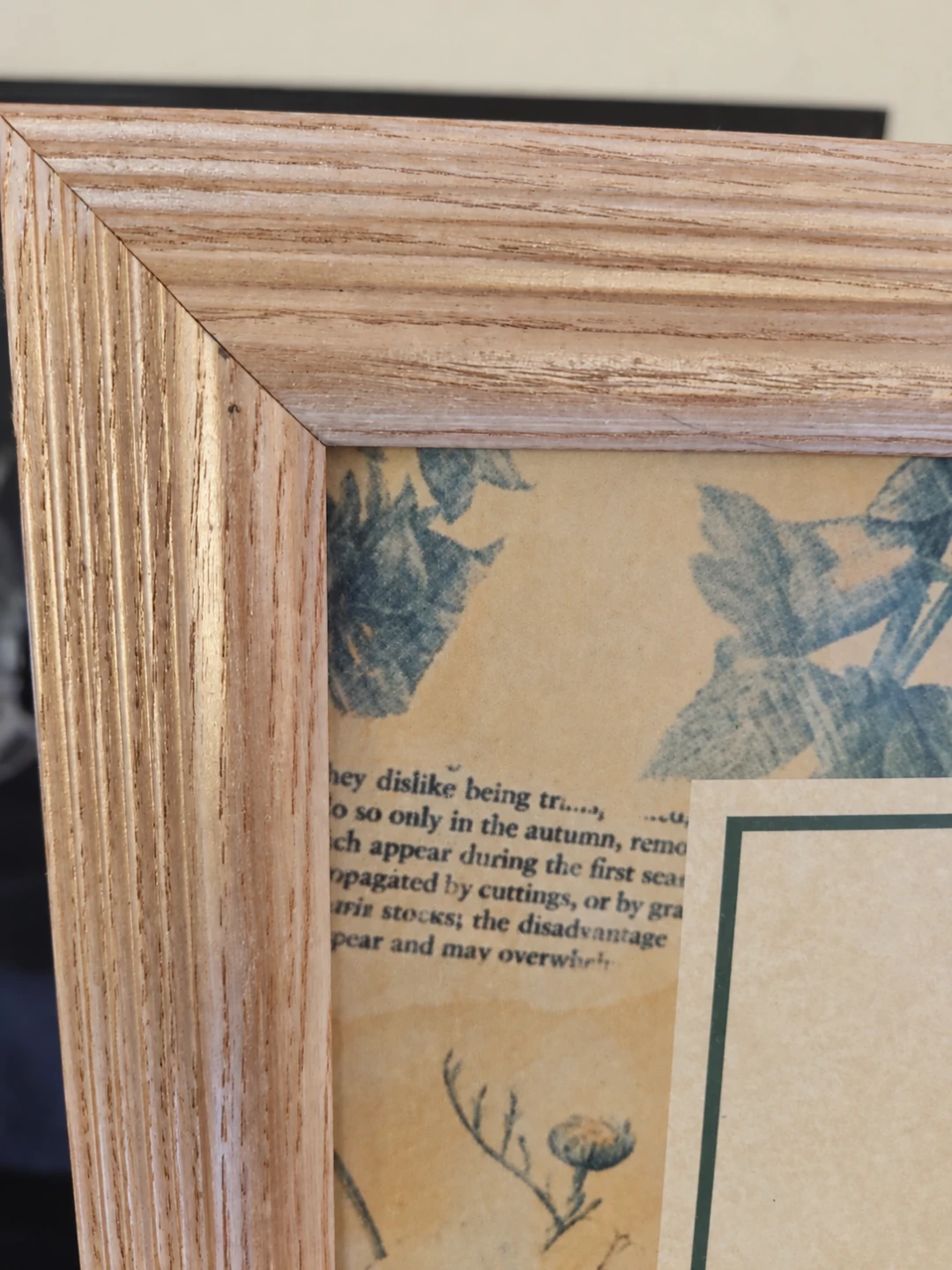 Vintage Framed Jane Loudon Ladies Botanical Garden - photo 5