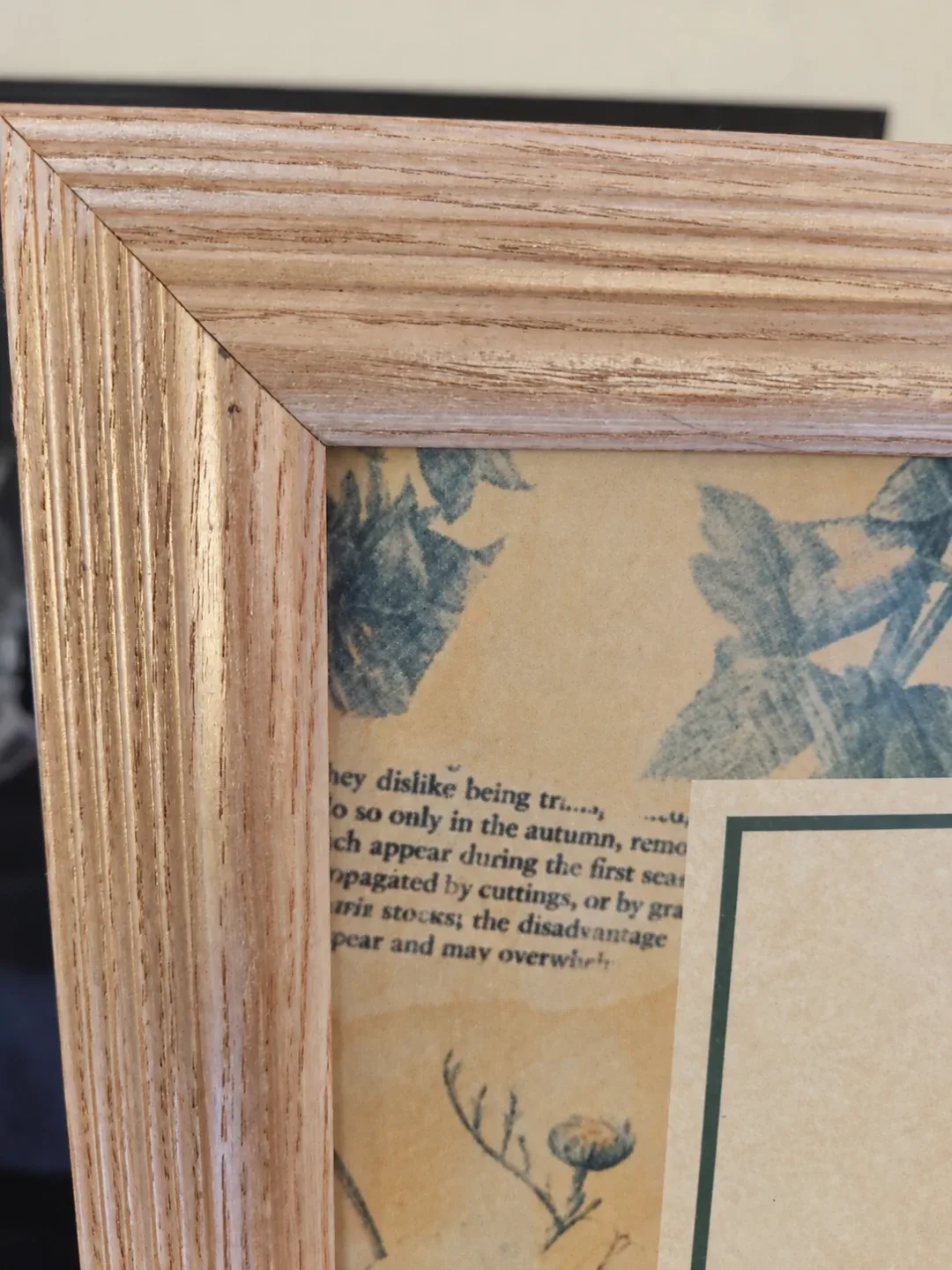 Vintage Framed Jane Loudon Ladies Botanical Garden - photo 5