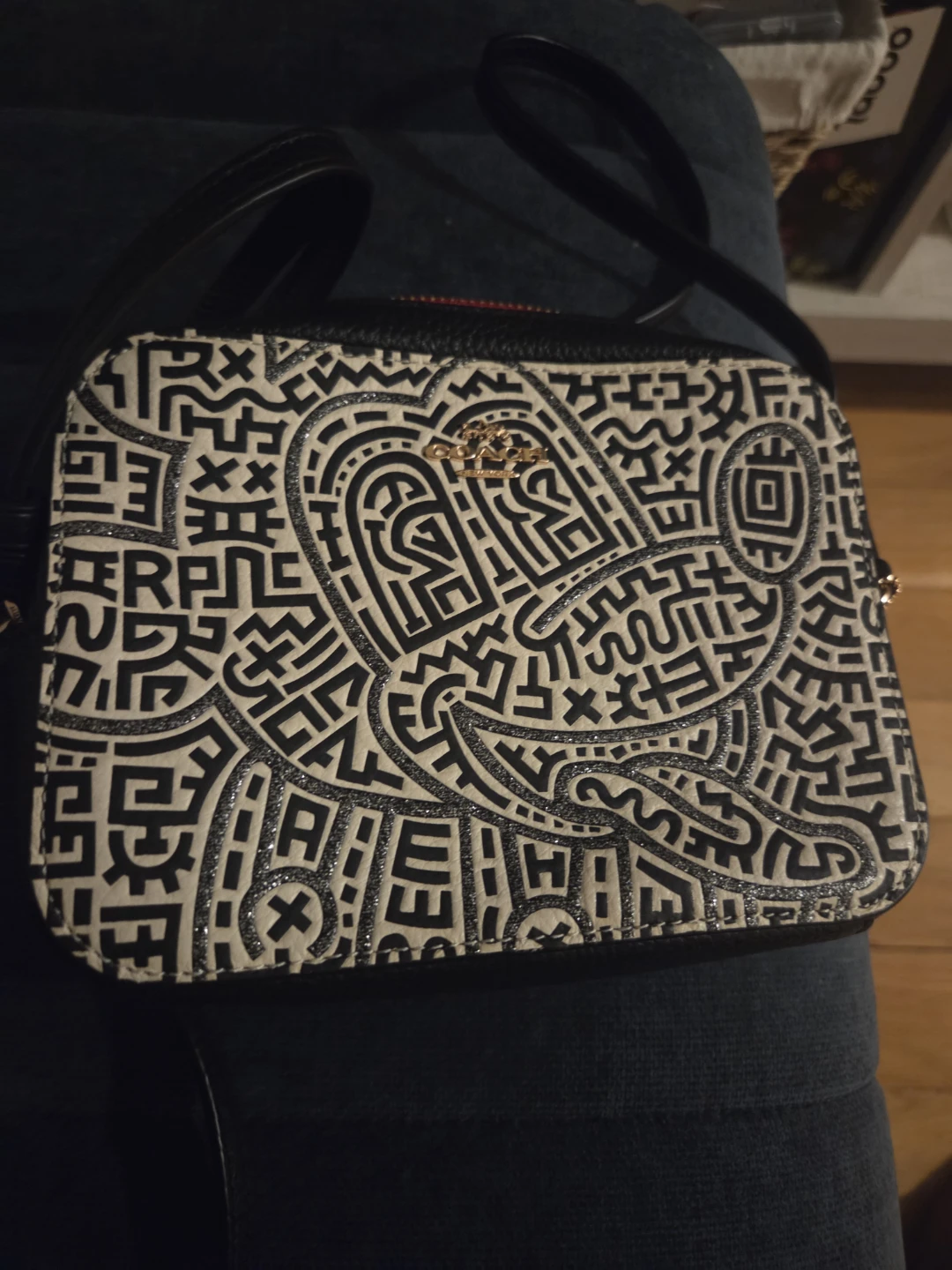 Coach Camera Bag in Graphic Print - photo 4