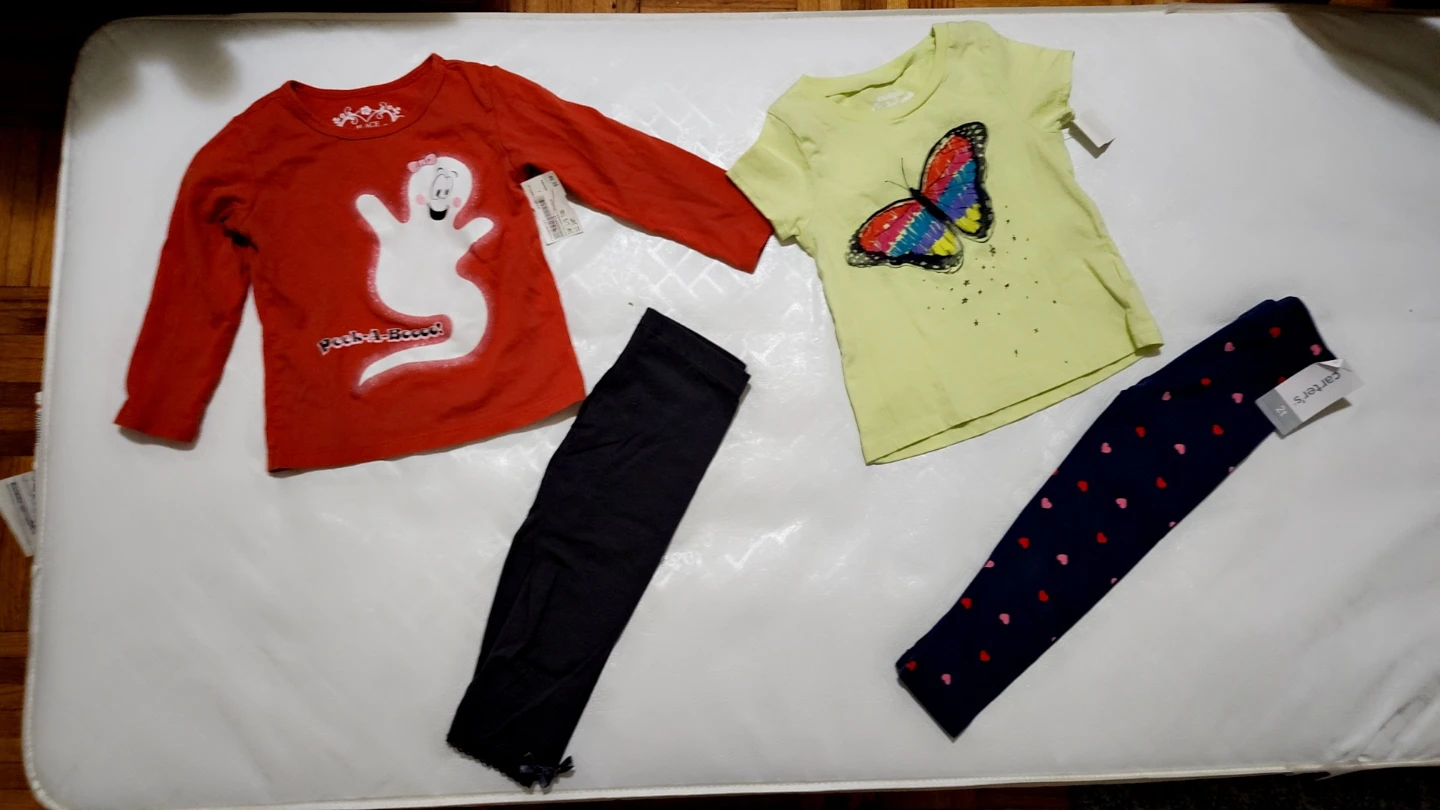 New baby girl Clothing Lot 12-24 months - photo 4